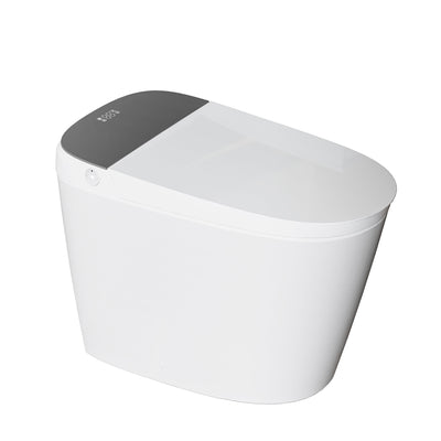 Smart Toilet