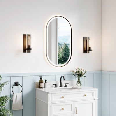 20 in. W x 36 in. H Oval Framed LED Wall-Mounted Bathroom Vanity Mirror Matte Black