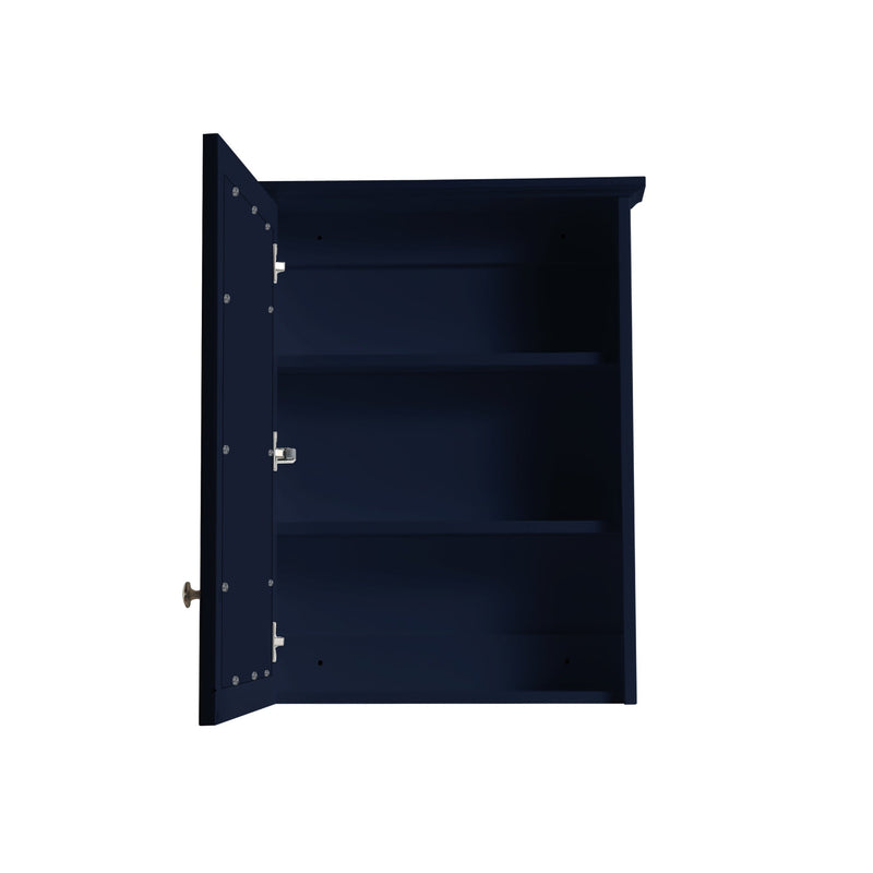 24-in x 30-in Surface Mount Mirrored Rectangle Medicine Cabinet Navy Blue