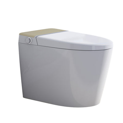 Luxury Smart Toilet With Auto Flush,Foot Sensor Flush,Heated Seat, Auto open lid,Warm Air Drying,Remote Control, LED Temperature Display