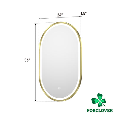 24 in. W x 36 in. H Oval Framed LED Wall-Mounted Bathroom Vanity Mirror Brushed Gold