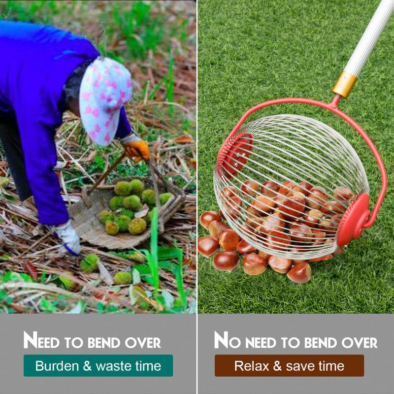 Medium Rolling Nut Gatherer Picks up Balls Nuts and Other Objects