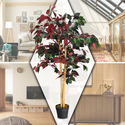 4-Feet Artificial Capensia Bush Indoor-Outdoor Leaves