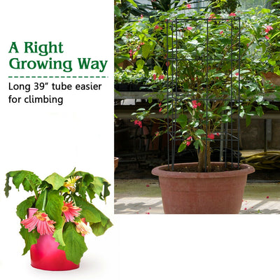 4 Pack Vegetable and Flower Planter for Garden