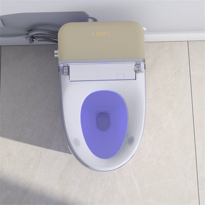 Luxury Smart Toilet With Auto Flush,Foot Sensor Flush,Heated Seat, Auto open lid,Warm Air Drying,Remote Control, LED Temperature Display