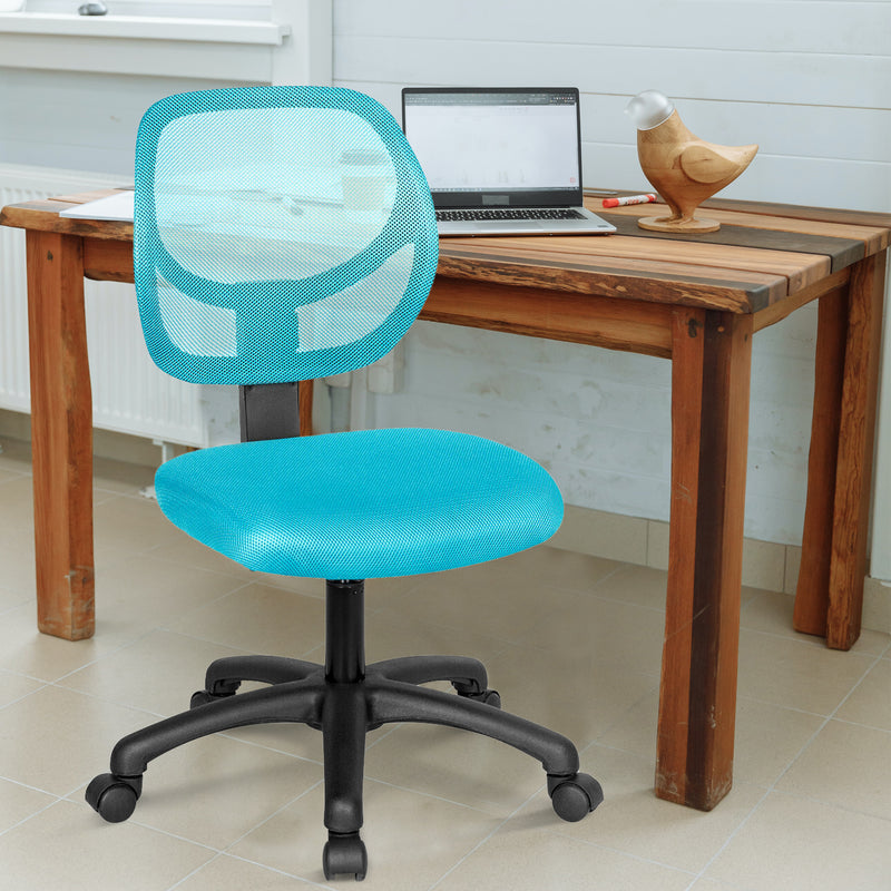 Low-back Computer Task Office Desk Chair with Swivel Casters