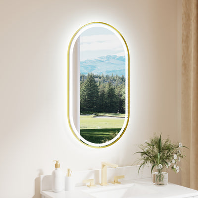 20 in. W x 36 in. H Oval Framed LED Wall-Mounted Bathroom Vanity Mirror Brushed Gold