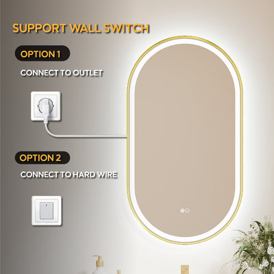 20 in. W x 36 in. H Oval Framed LED Wall-Mounted Bathroom Vanity Mirror Brushed Gold