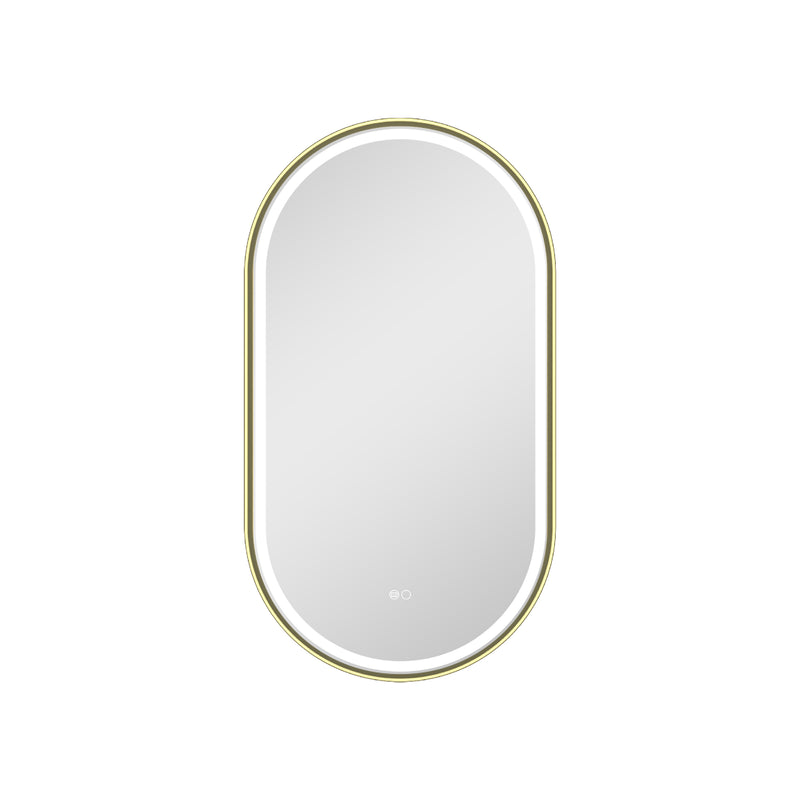 20 in. W x 36 in. H Oval Framed LED Wall-Mounted Bathroom Vanity Mirror Brushed Gold