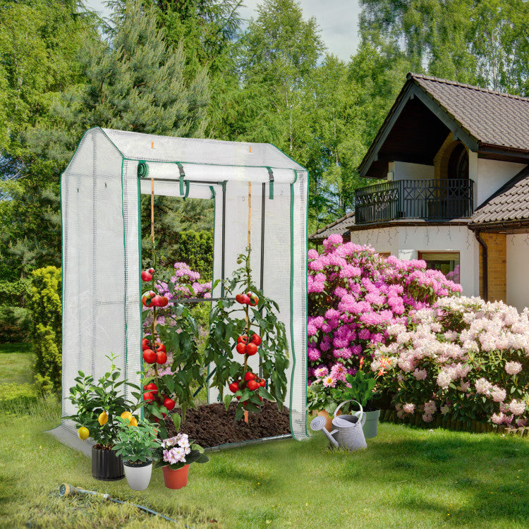 Walk-in Garden Greenhouse Warm House for Plant Growing