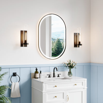 24 in. W x 36 in. H Oval Framed LED Wall-Mounted Bathroom Vanity Mirror Matte Black