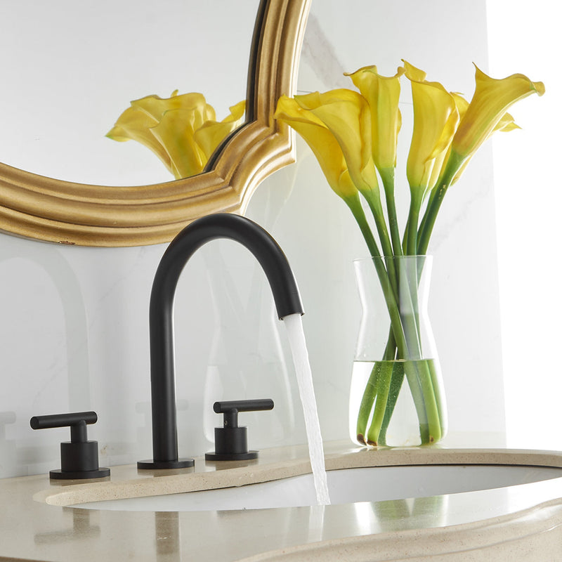 8 in. Widespread Double Handle Bathroom Faucet With Pop-up Drain Assembly in Matte Black