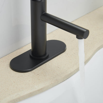 Single Hole Single-Handle Bathroom Faucet in Matte Black