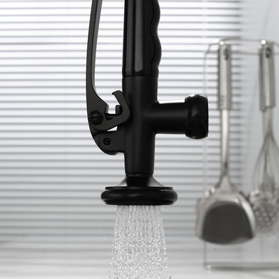 Single Handle Pull Down Sprayer Kitchen Faucet with 360℃ Rotation in Matte Black