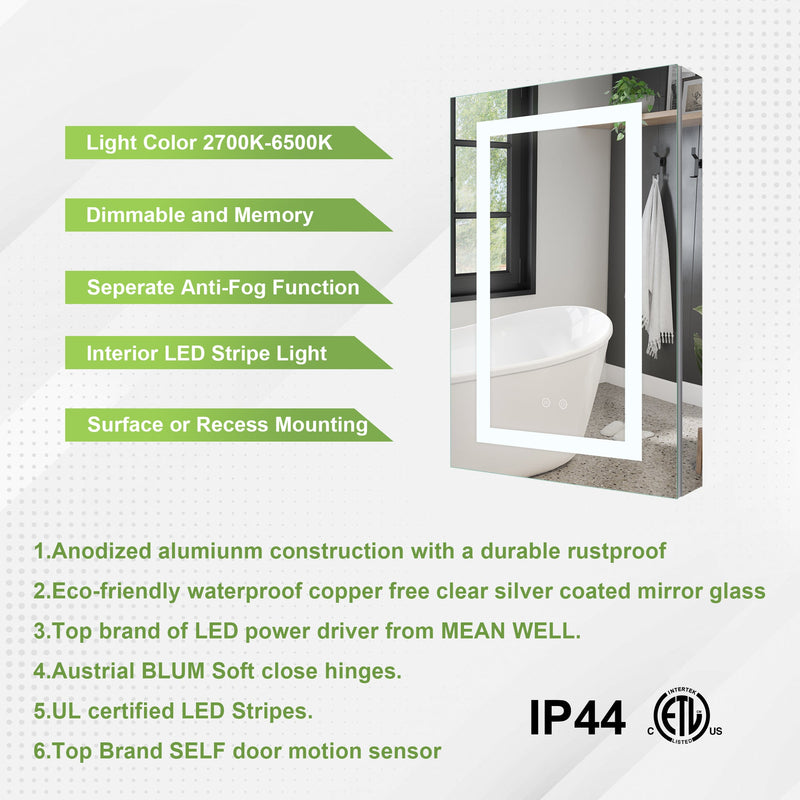 20-in x 30-in Lighted LED Surface/Recessed Mount Silver Mirrored Rectangle Medicine Cabinet with Outlet Right Side