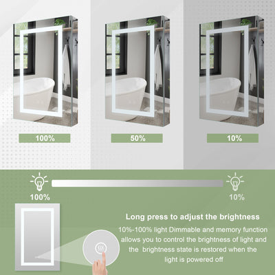 20-in x 30-in Lighted LED Surface/Recessed Mount Silver Mirrored Rectangle Medicine Cabinet with Outlet Right Side