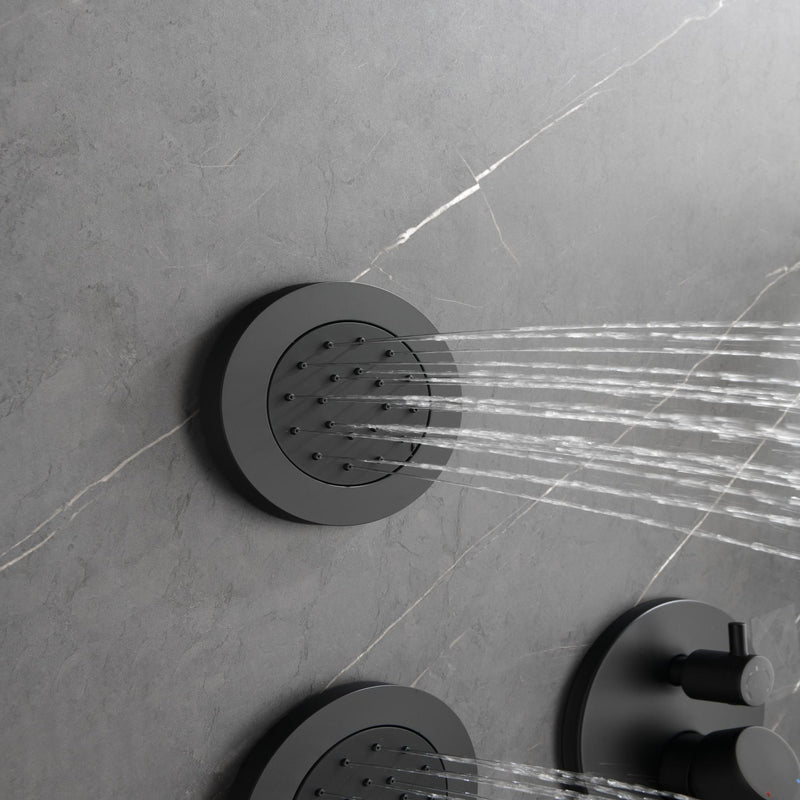 Shower Head with Lever Handles