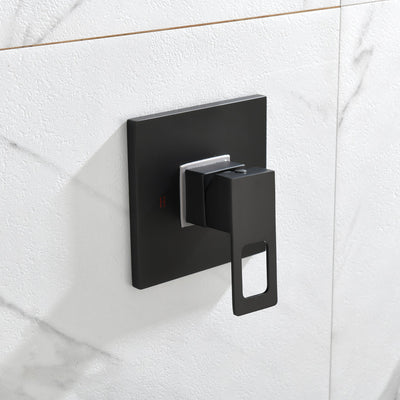 Matte Black-Spray Built-In Shower System